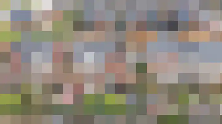 Honingzwam 23 Apeldoorn thumbnail 42