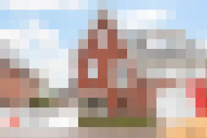 Honingzwam 23 Apeldoorn thumbnail 45