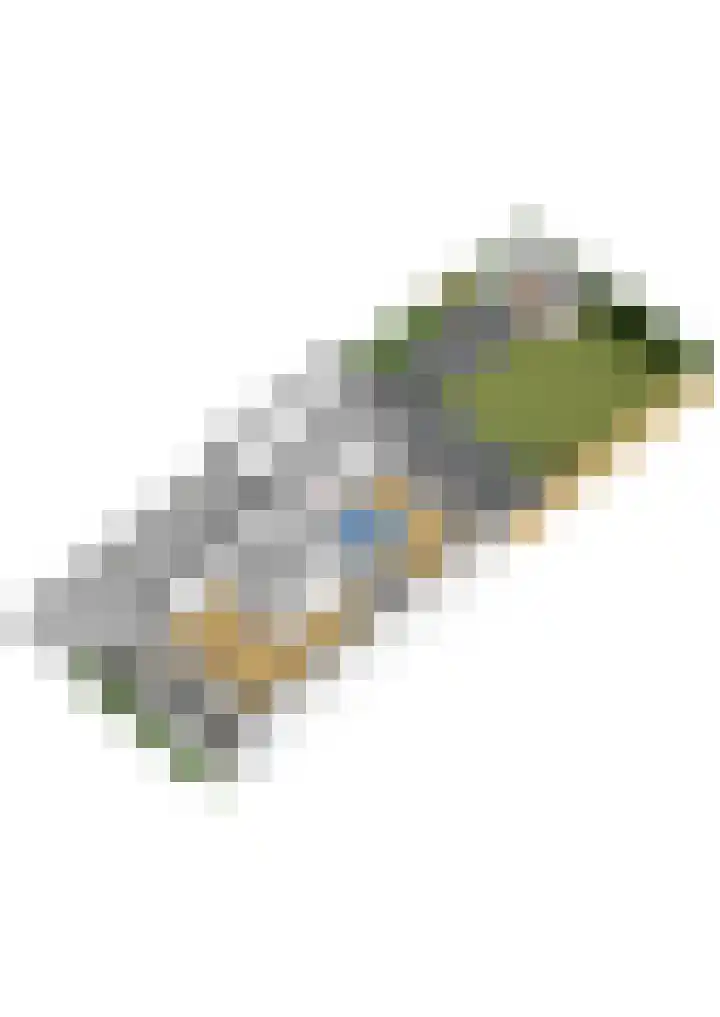 Honingzwam 23 Apeldoorn thumbnail 53