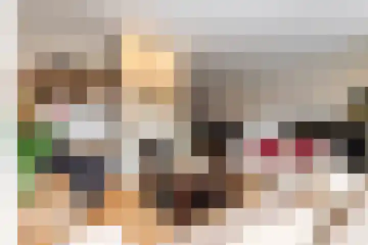 Honingzwam 23 Apeldoorn thumbnail 6