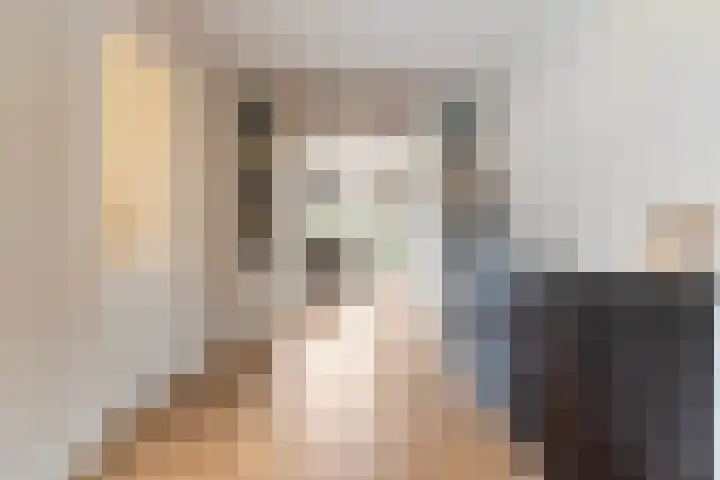 Honingzwam 23 Apeldoorn thumbnail 9