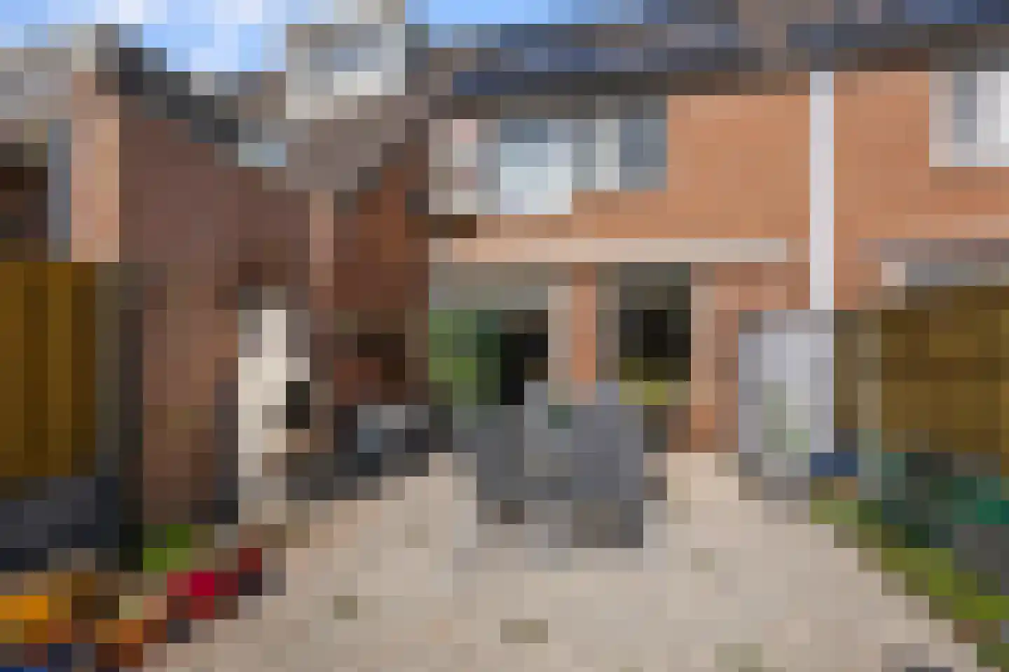 Honingzwam 48 Alphen aan den Rijn thumbnail 17
