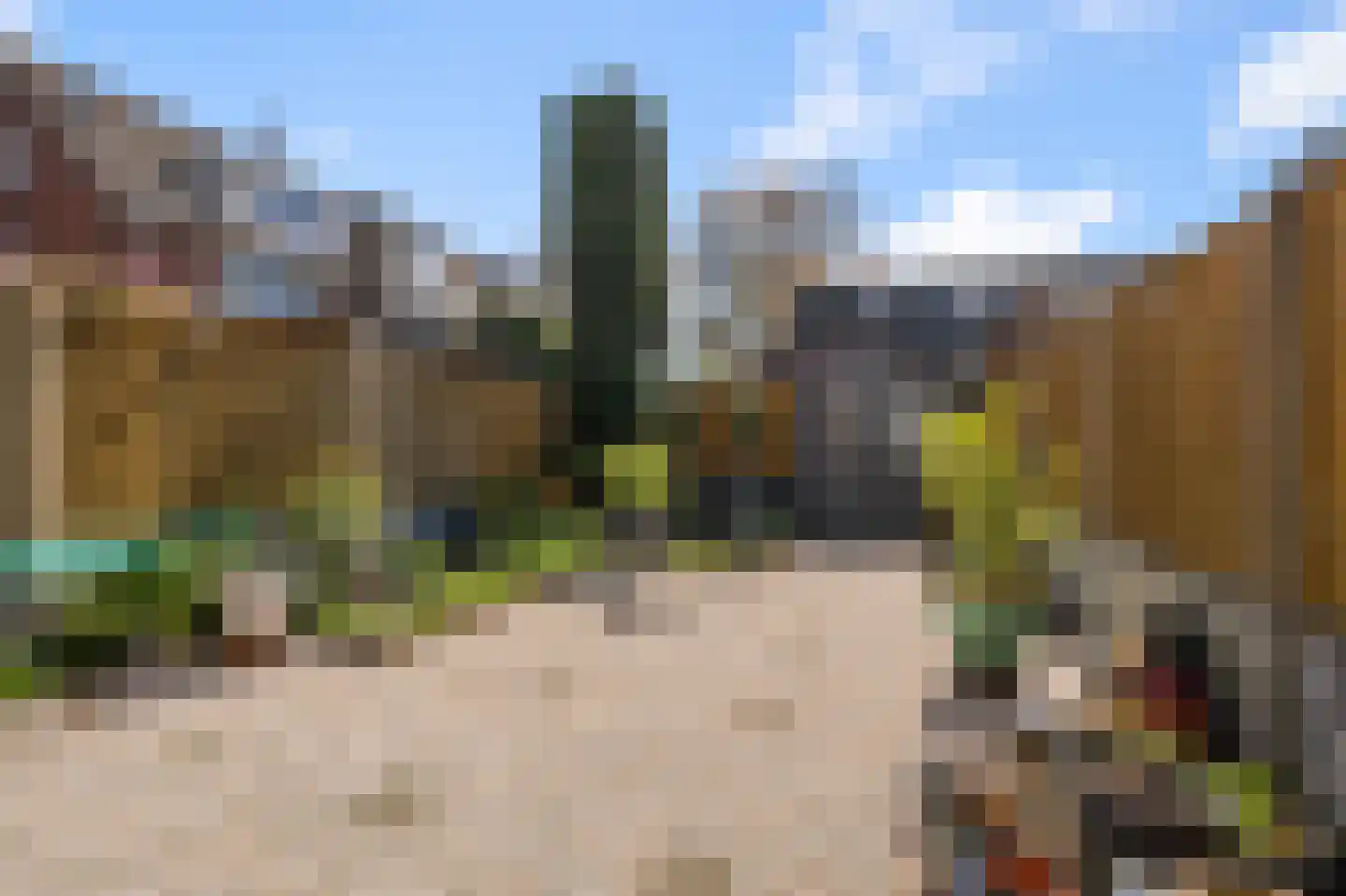 Honingzwam 48 Alphen aan den Rijn thumbnail 18