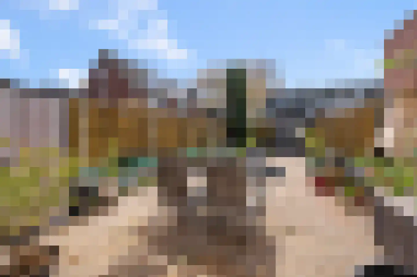 Honingzwam 48 Alphen aan den Rijn thumbnail 19