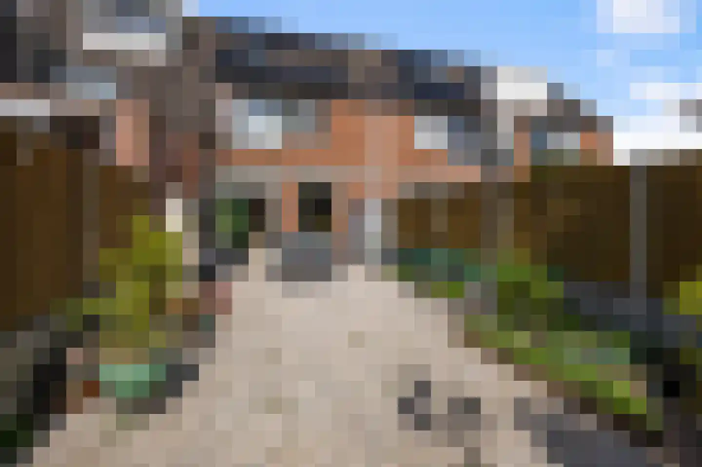 Honingzwam 48 Alphen aan den Rijn thumbnail 5