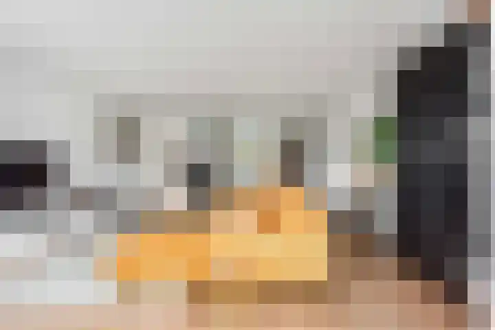 Honingzwam 49 Veenendaal thumbnail 11