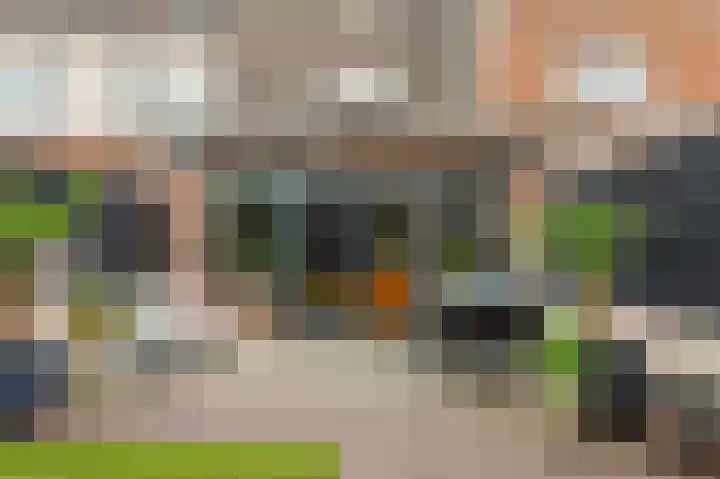 Honingzwam 49 Veenendaal thumbnail 29