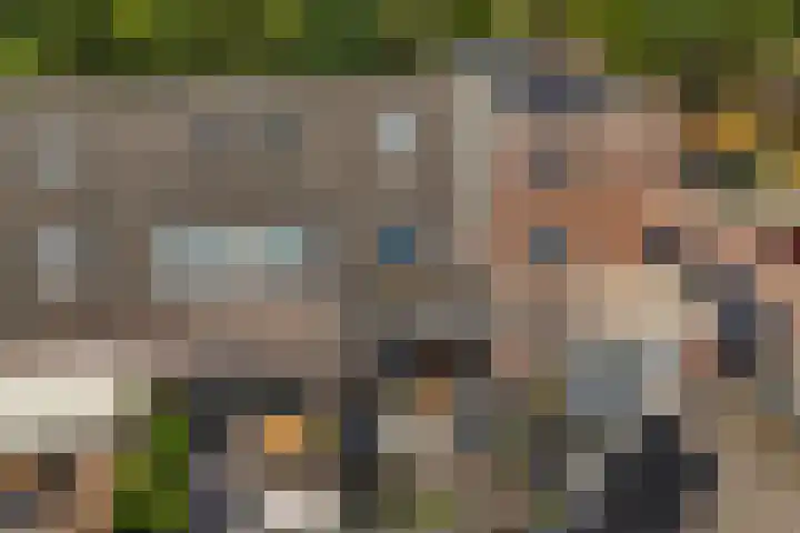 Honingzwam 49 Veenendaal thumbnail 32