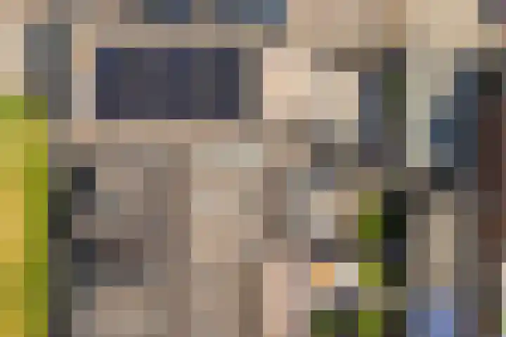 Honingzwam 49 Veenendaal thumbnail 33