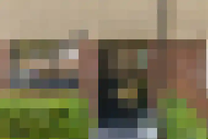 Honingzwam 49 Veenendaal thumbnail 5