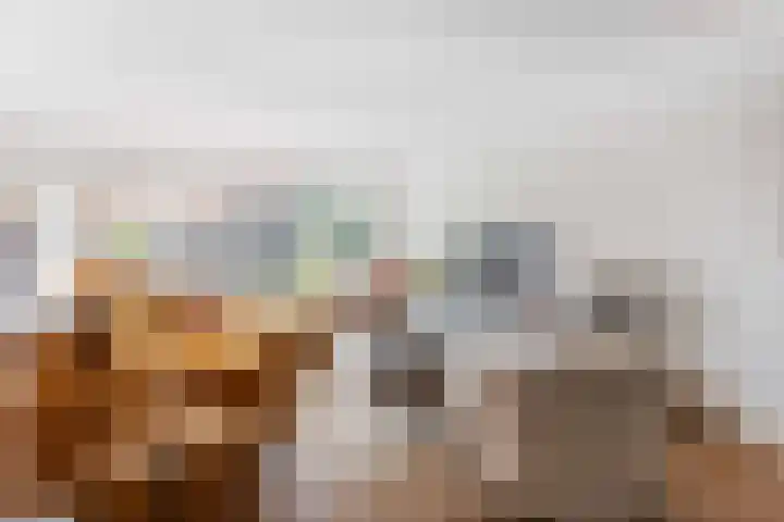 Honingzwam 49 Veenendaal thumbnail 8