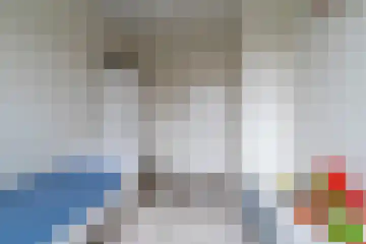 Honingzwam 65 Veenendaal thumbnail 16