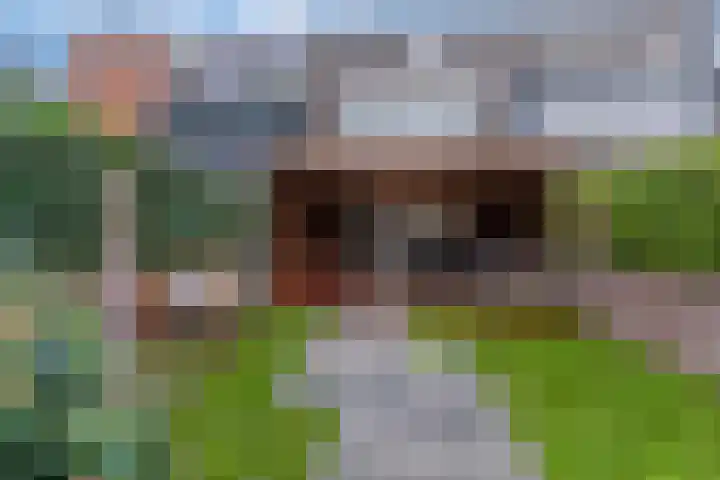 Honingzwam 65 Veenendaal thumbnail 26