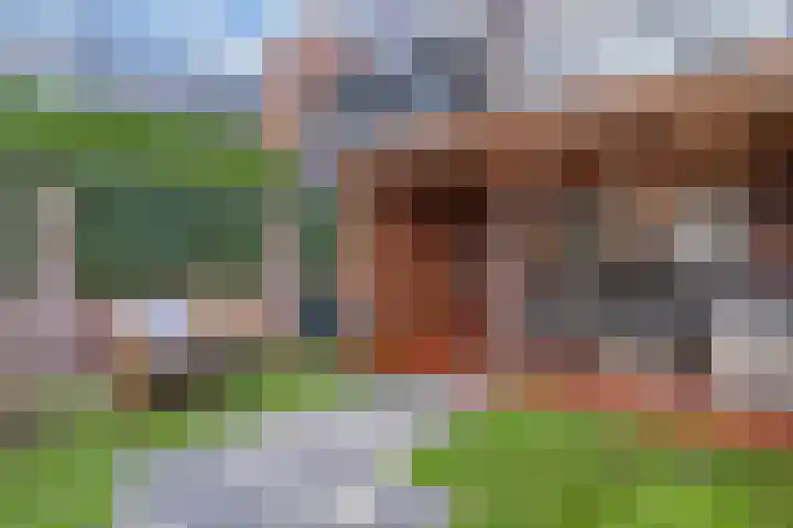 Honingzwam 65 Veenendaal thumbnail 27
