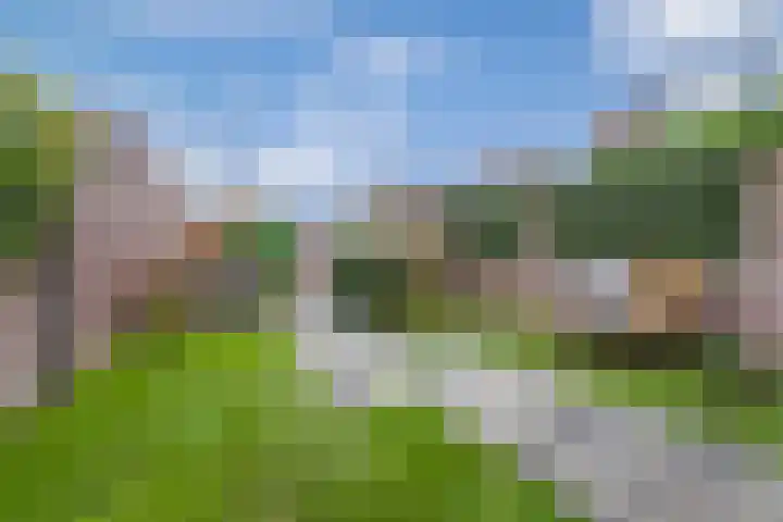 Honingzwam 65 Veenendaal thumbnail 29