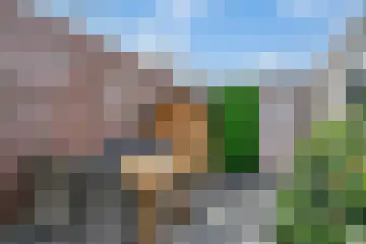 Honingzwam 65 Veenendaal thumbnail 30