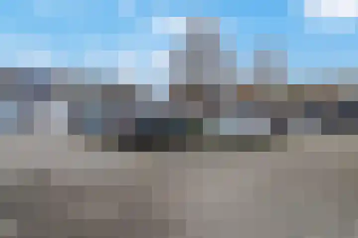 Honingzwam 65 Veenendaal thumbnail 32