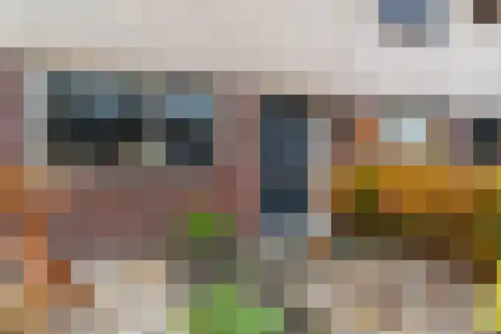 Honingzwam 65 Veenendaal thumbnail 33