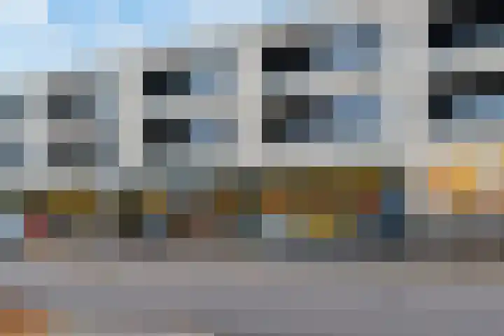Honingzwam 65 Veenendaal thumbnail 35