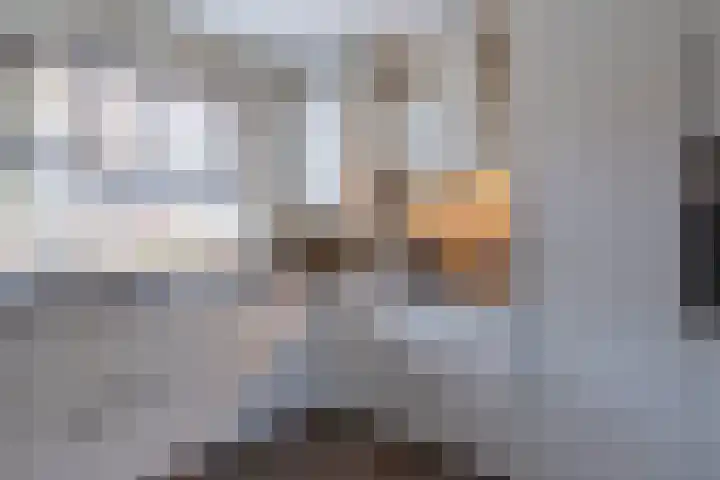 Honingzwam 65 Veenendaal thumbnail 7