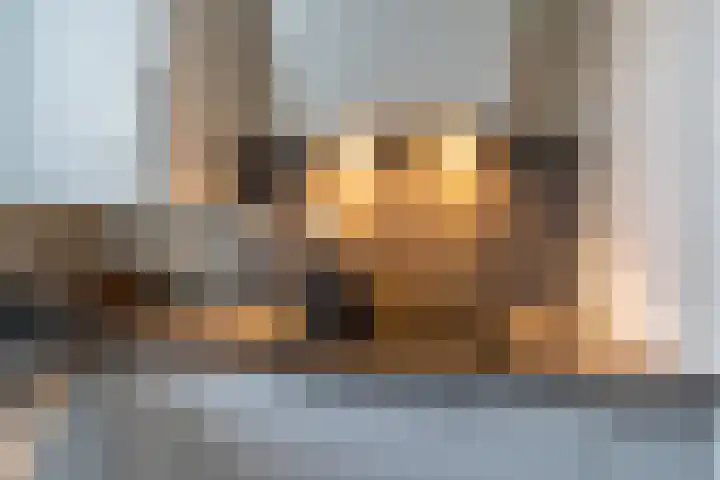 Honingzwam 65 Veenendaal thumbnail 8