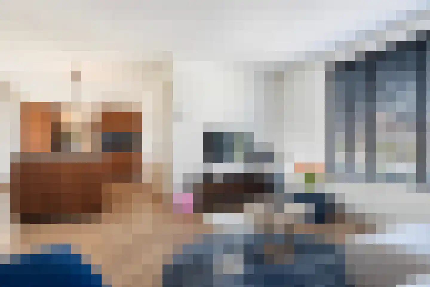 Honingzwam 69 Apeldoorn thumbnail 11