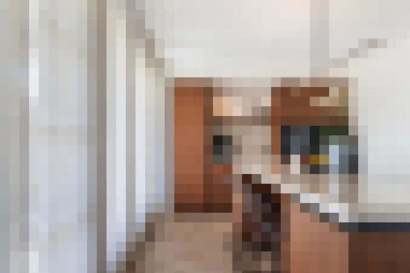 Honingzwam 69 Apeldoorn thumbnail 12