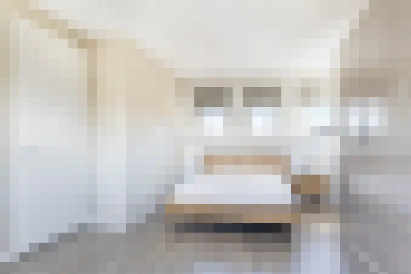 Honingzwam 69 Apeldoorn thumbnail 22