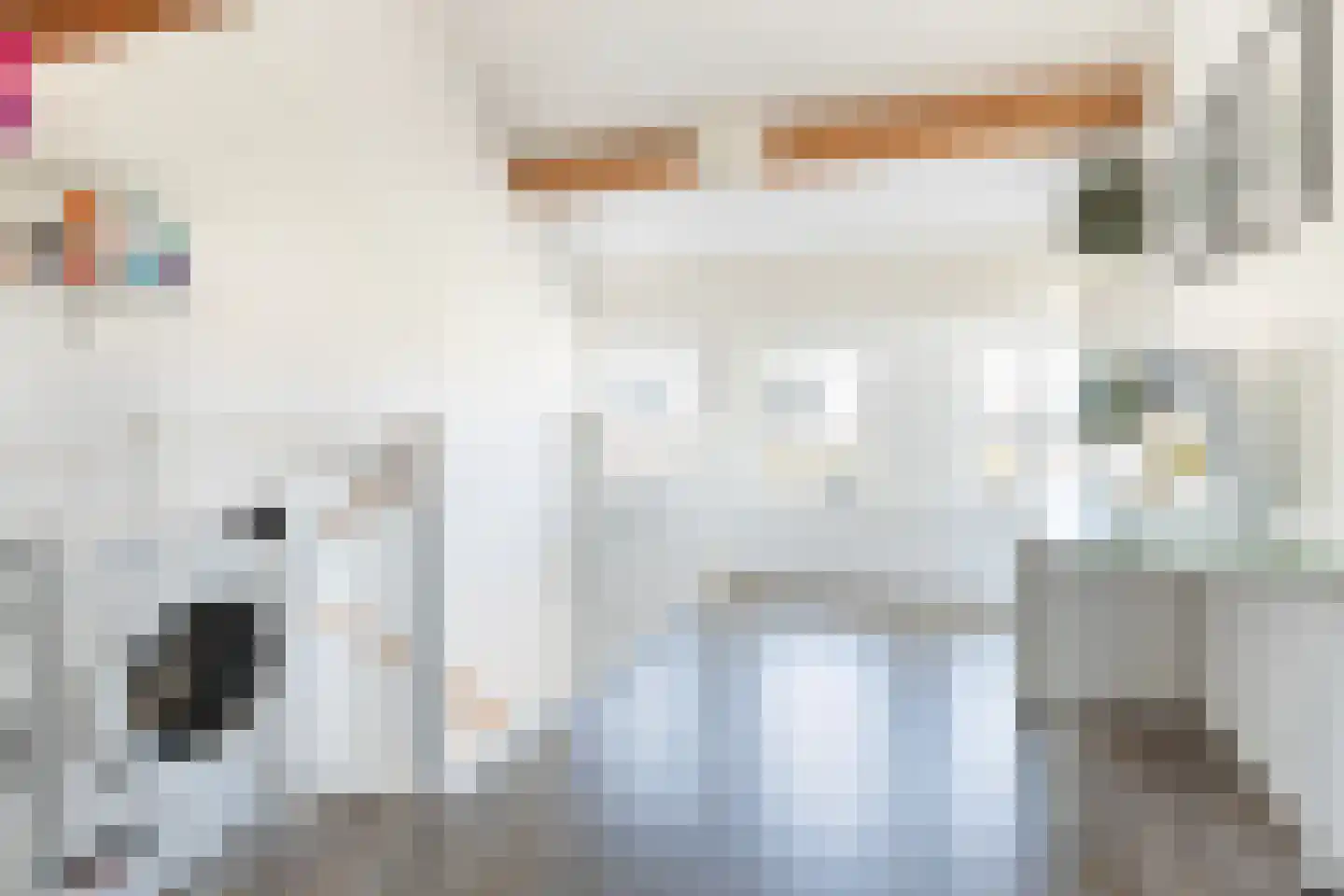 Honingzwam 69 Apeldoorn thumbnail 29