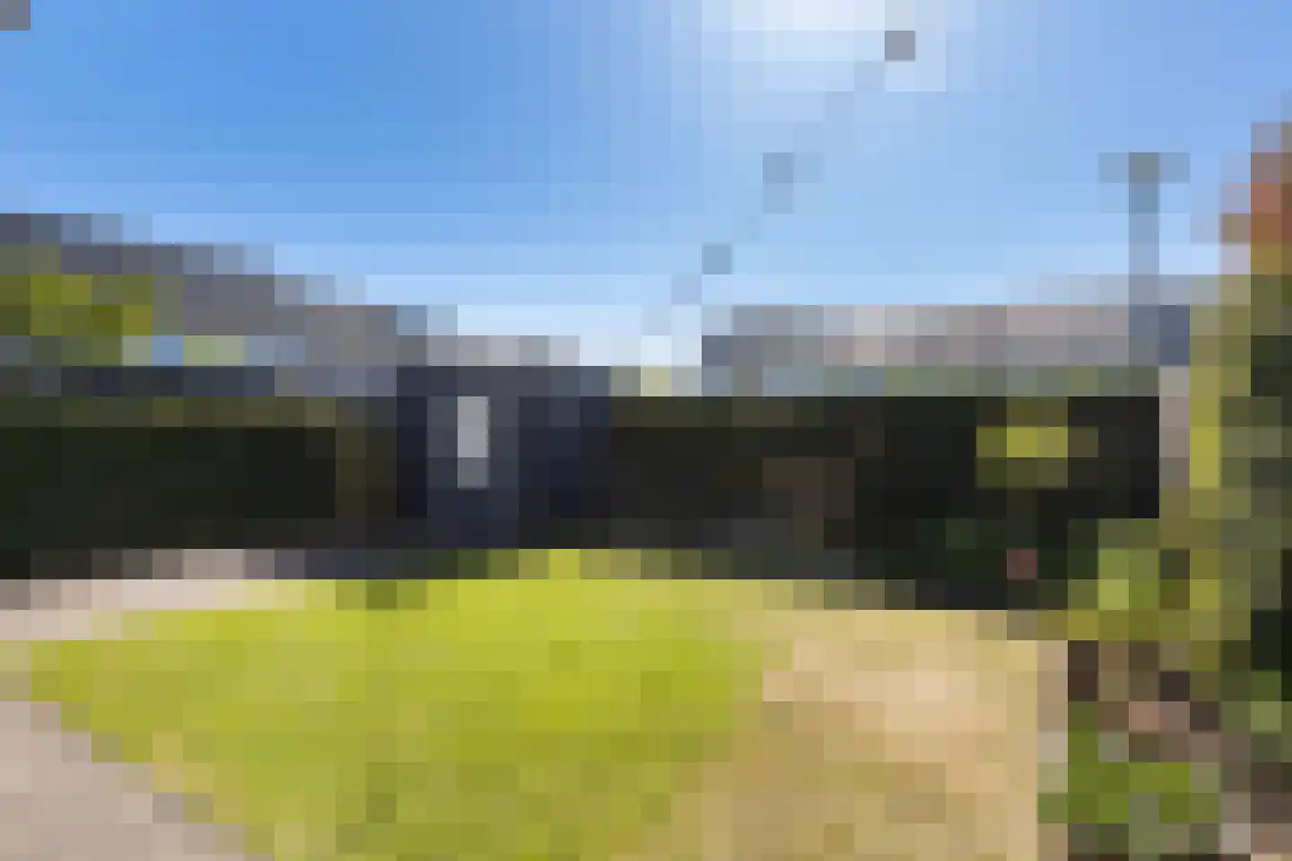 Honingzwam 69 Apeldoorn thumbnail 33