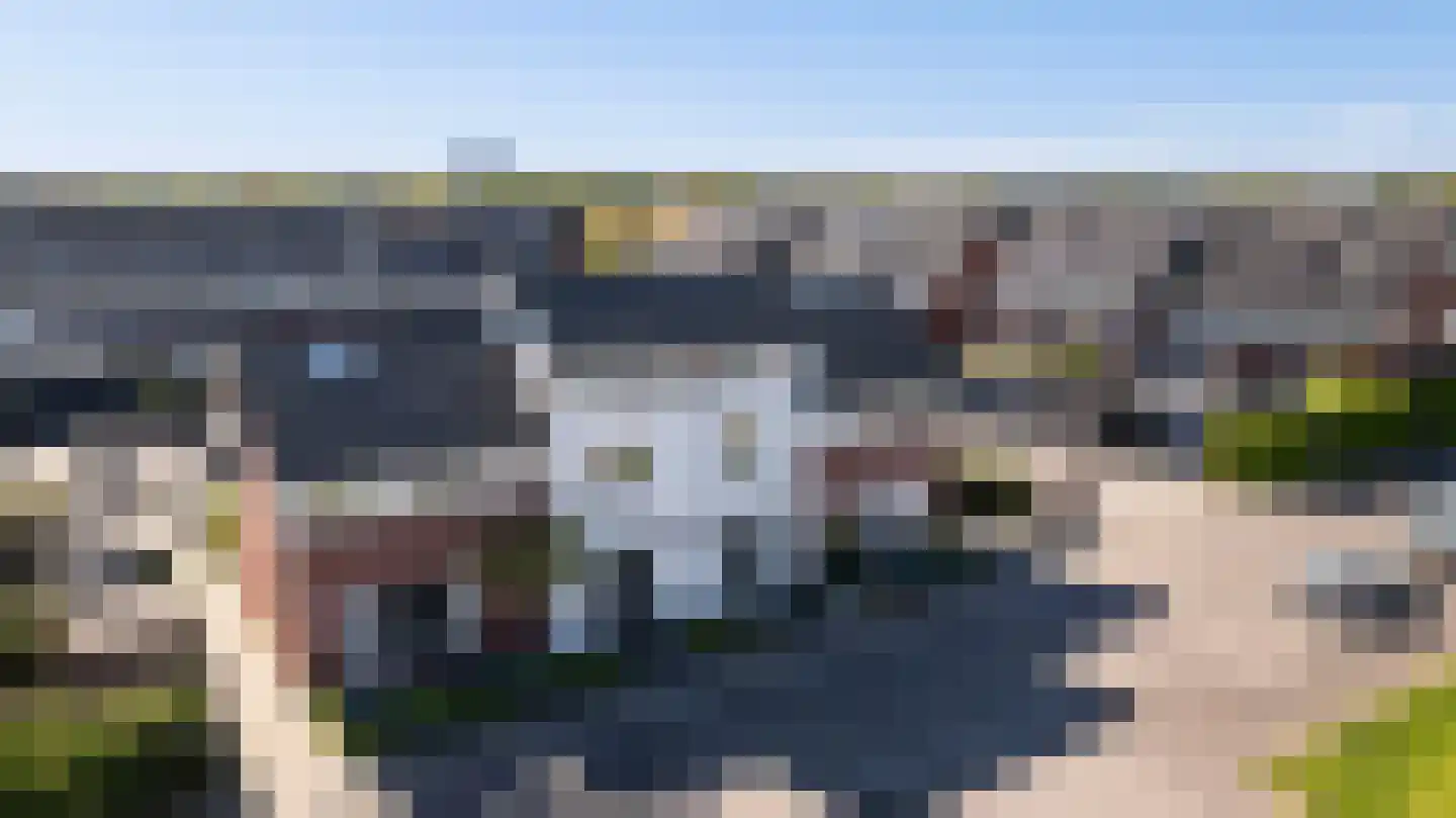 Honingzwam 69 Apeldoorn thumbnail 38