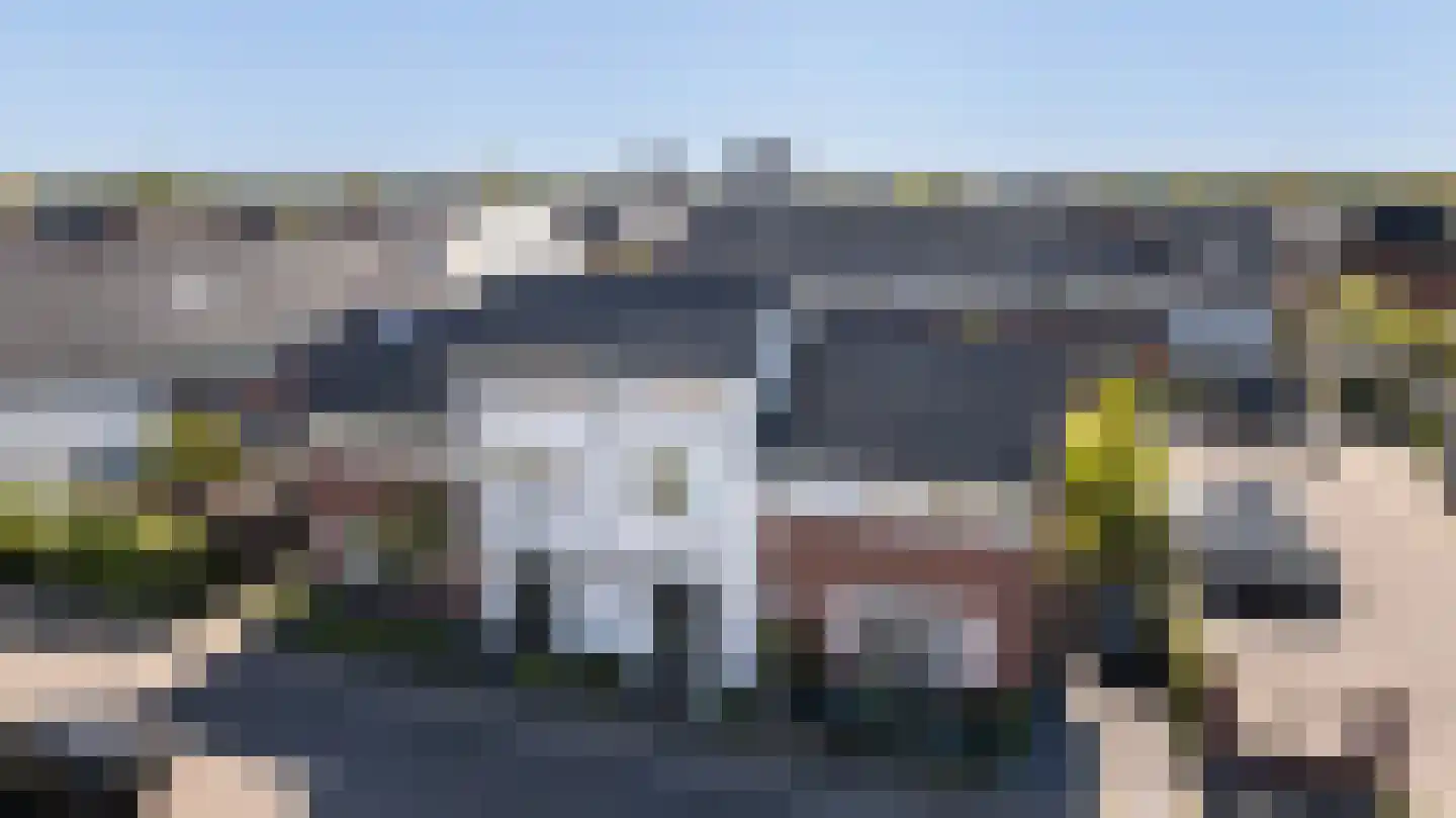 Honingzwam 69 Apeldoorn thumbnail 39