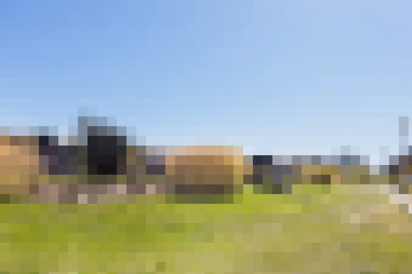 Honingzwam 69 Apeldoorn thumbnail 41