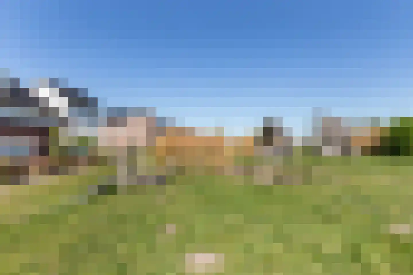 Honingzwam 69 Apeldoorn thumbnail 43