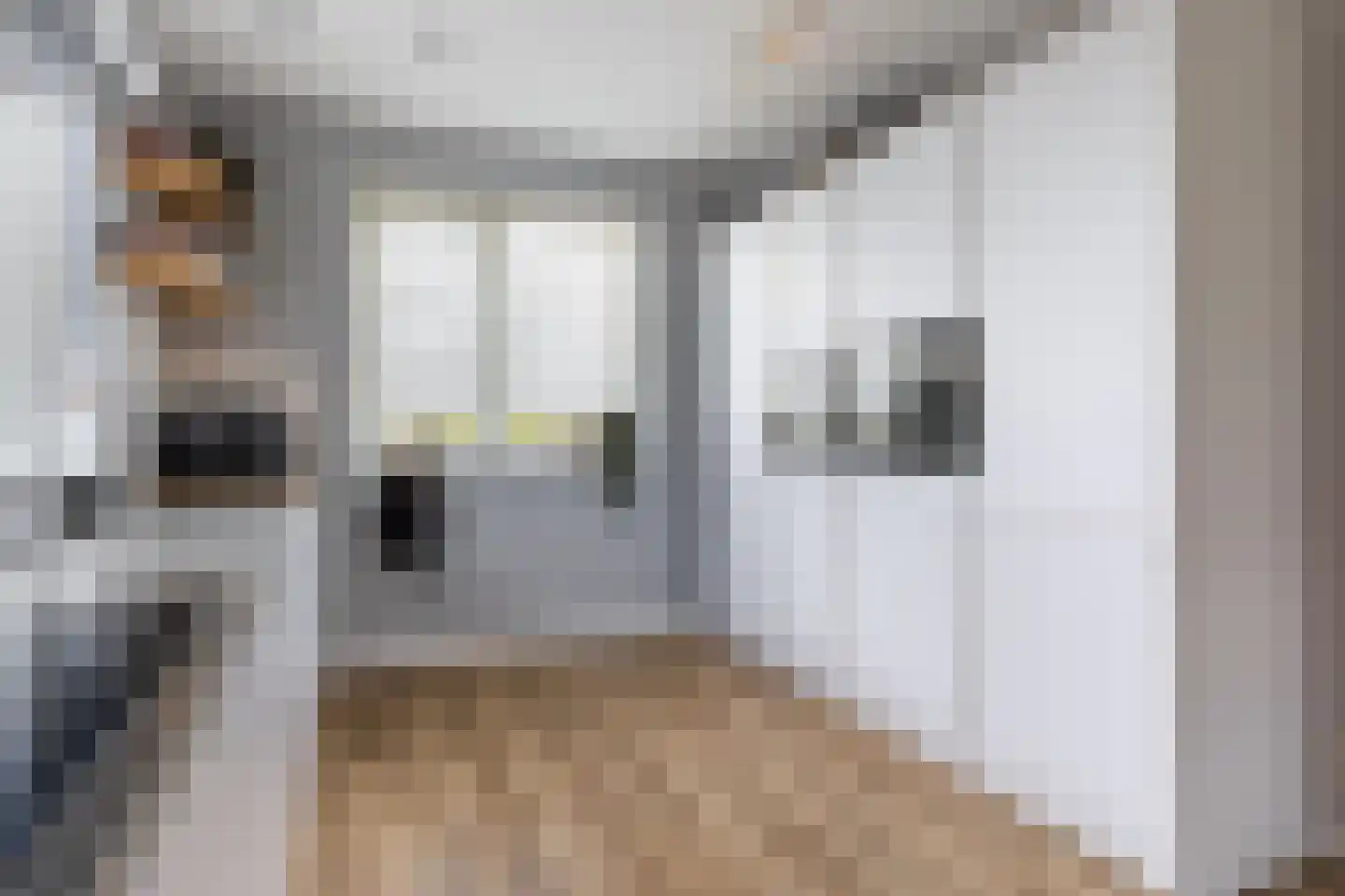 Honingzwam 79 Apeldoorn thumbnail 10