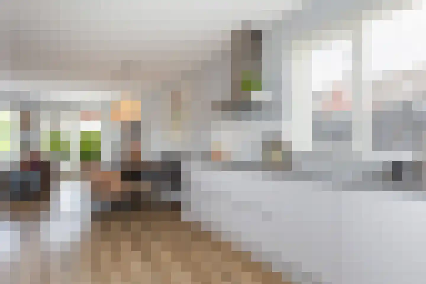 Honingzwam 79 Apeldoorn thumbnail 11