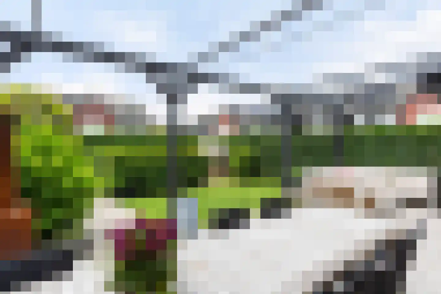 Honingzwam 79 Apeldoorn thumbnail 12