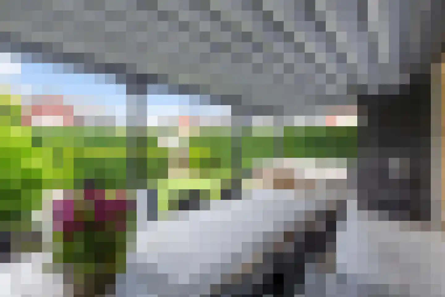 Honingzwam 79 Apeldoorn thumbnail 13