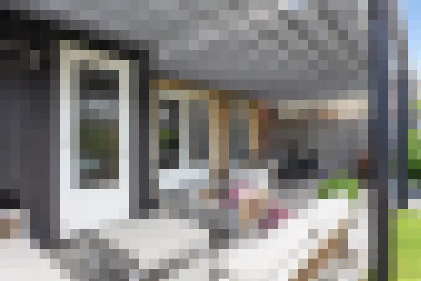 Honingzwam 79 Apeldoorn thumbnail 15