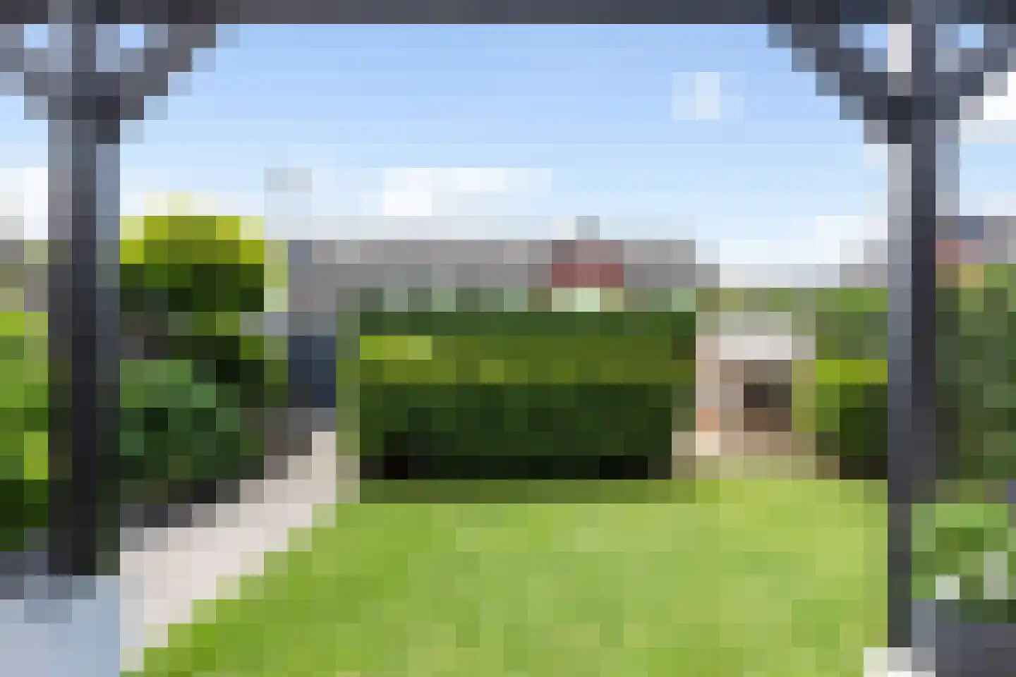 Honingzwam 79 Apeldoorn thumbnail 18