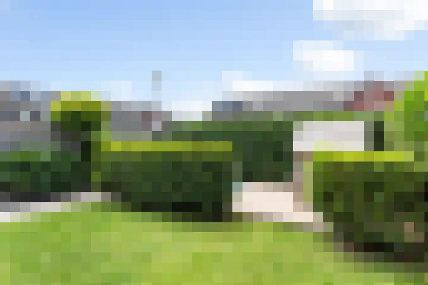 Honingzwam 79 Apeldoorn thumbnail 19