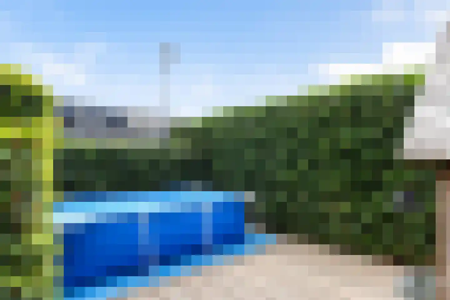 Honingzwam 79 Apeldoorn thumbnail 20