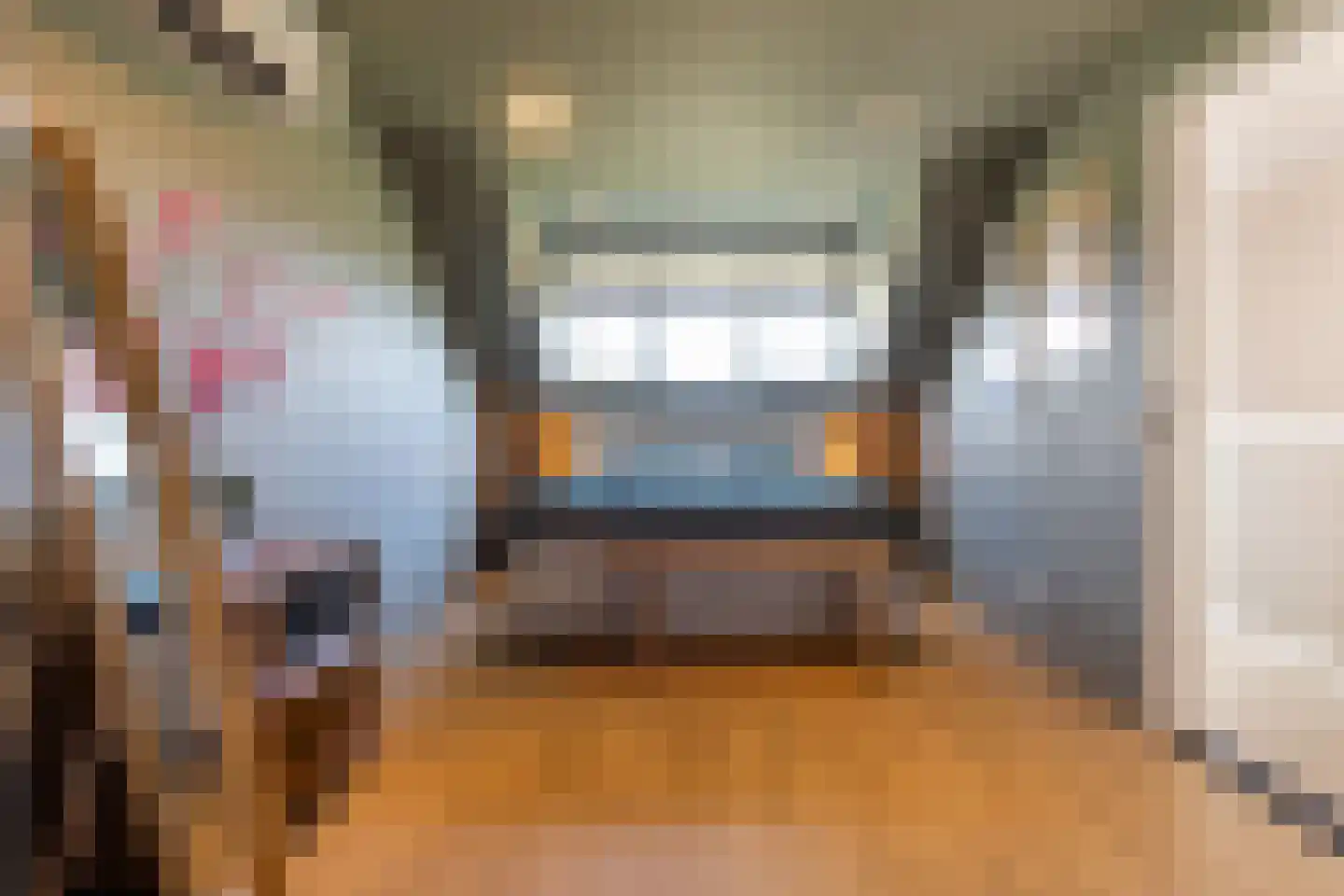Honingzwam 79 Apeldoorn thumbnail 34