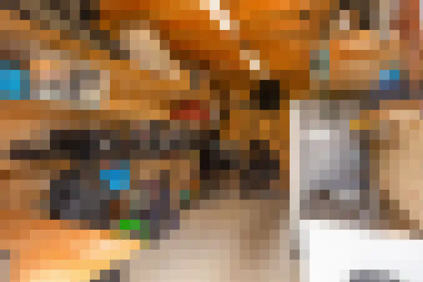 Honingzwam 79 Apeldoorn thumbnail 36
