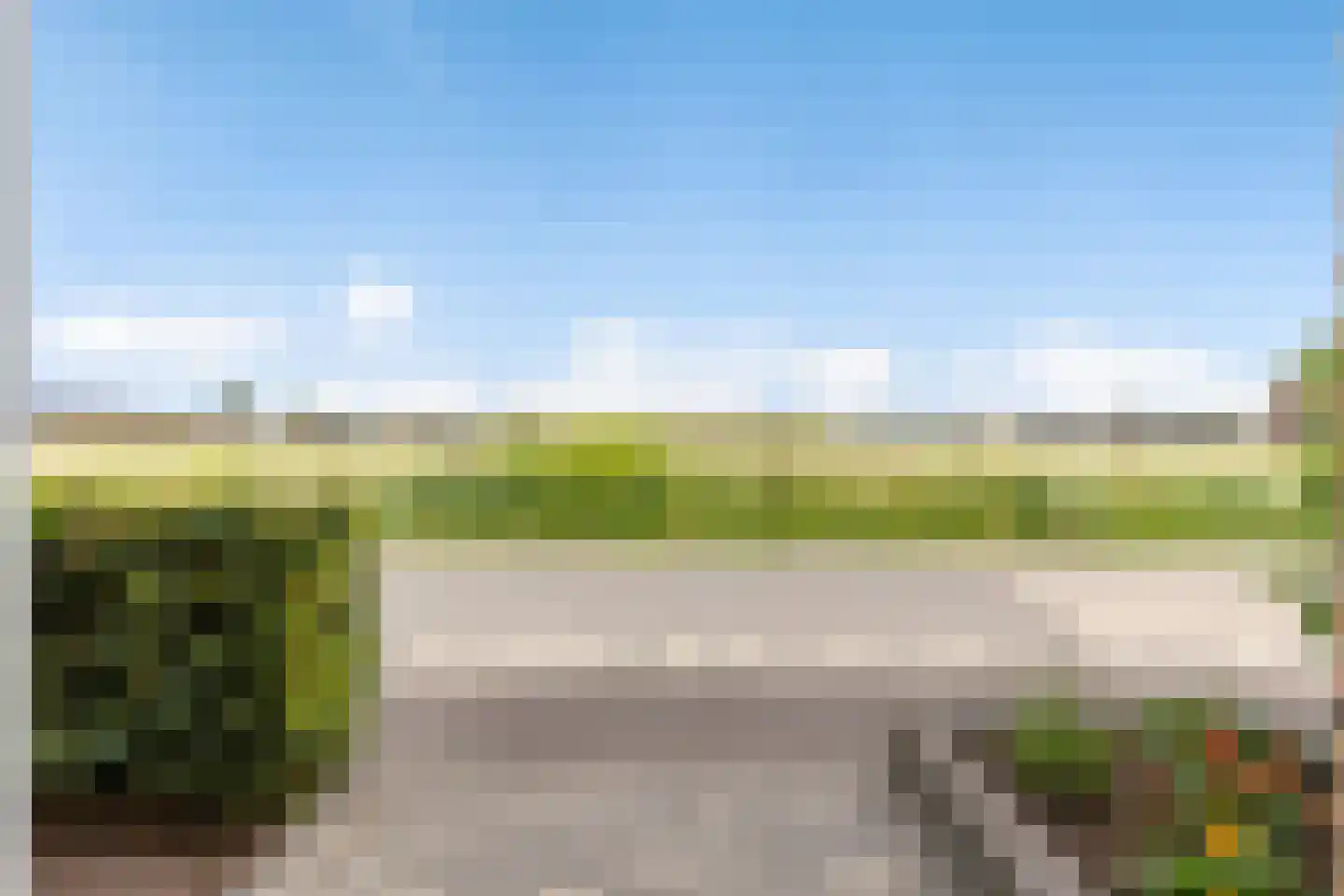 Honingzwam 79 Apeldoorn thumbnail 40