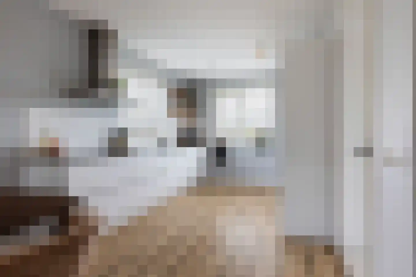 Honingzwam 79 Apeldoorn thumbnail 8