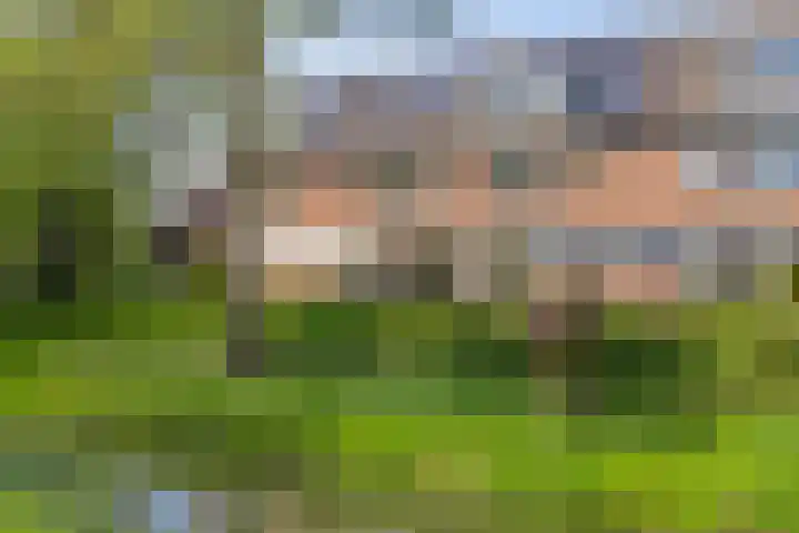 Honingzwam 92 in Alphen aan den Rijn