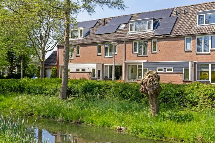 Honingzwam 92 in Alphen aan den Rijn