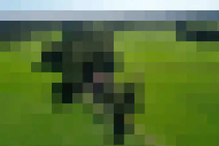 Honkerbosweg 4 De Heurne