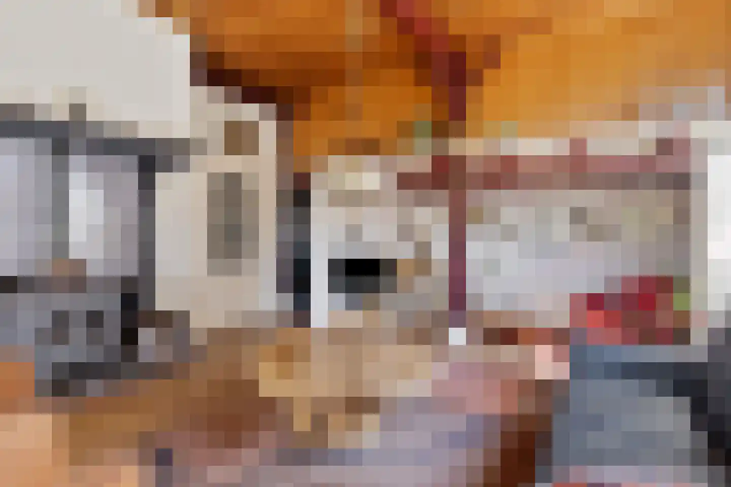 Honkerbosweg 4 De Heurne thumbnail 10